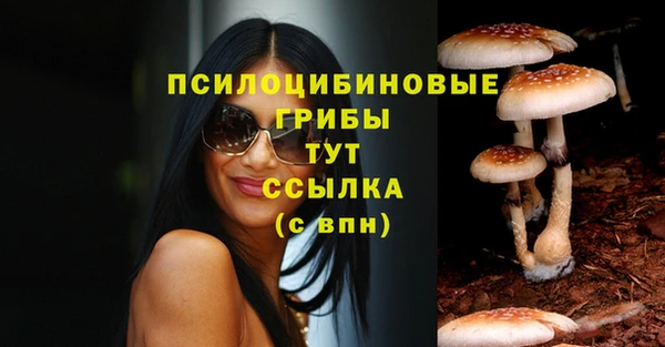 стаф Белоозёрский