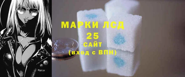 ПСИЛОЦИБИНОВЫЕ ГРИБЫ Богданович