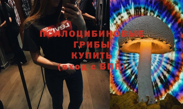 прущая мука Богородицк