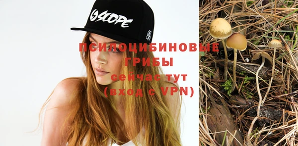 ПСИЛОЦИБИНОВЫЕ ГРИБЫ Богданович